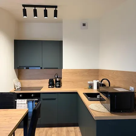 Apartment Potockiego Z Prywatnym Parkingiem I Klimatyzacja Balkon Faktura Rzeszow